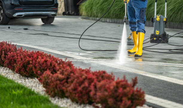 Best Roof Power Washing Services  in Blue Earth, MN